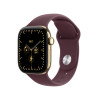 Apple Watch Series 12 GPS + Cellular 42 mm, Titangehäuse in Brillantgold, Sportarmband in Burgunderrot, M/L