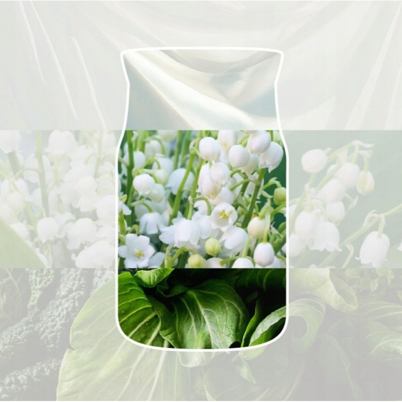 Yankee Candle Clean Cotton Auto-Lufterfrischer zum Aufhängen