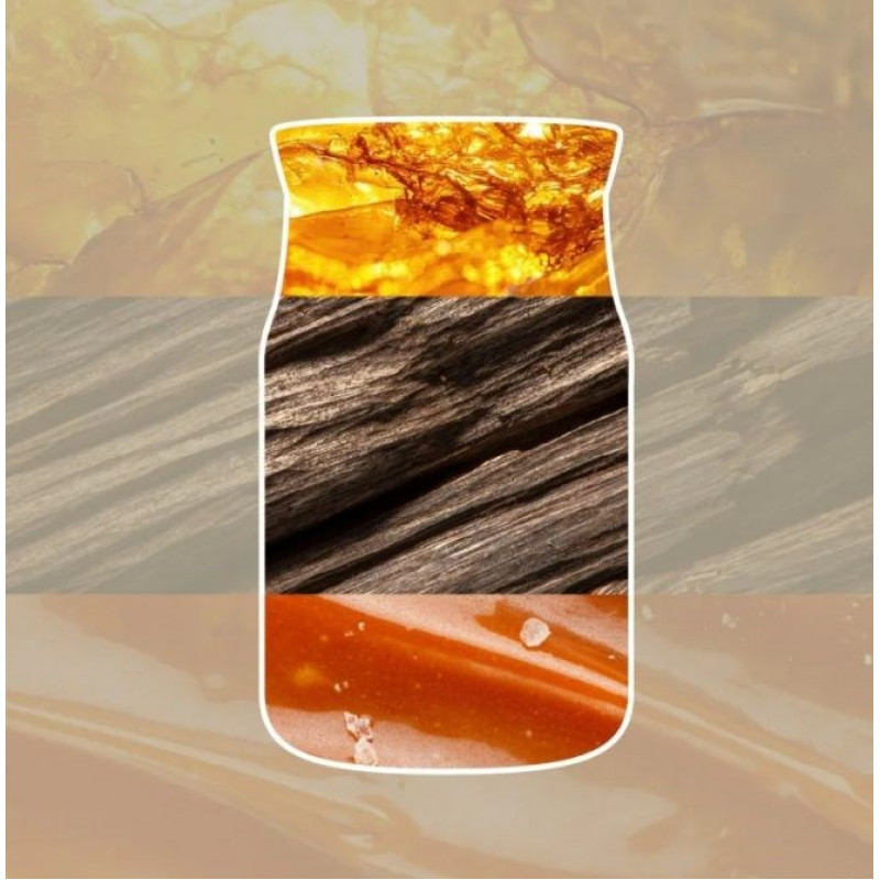 Yankee Candle Amber & Sandalwood kleine Kerze