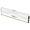 Silicon Power XPOWER Zenith Gaming SP032GXLWU60AFDG, 32 GB (2 x 16 GB), DDR5, 6000 MHz, CL30, 1,35 V, Weiß