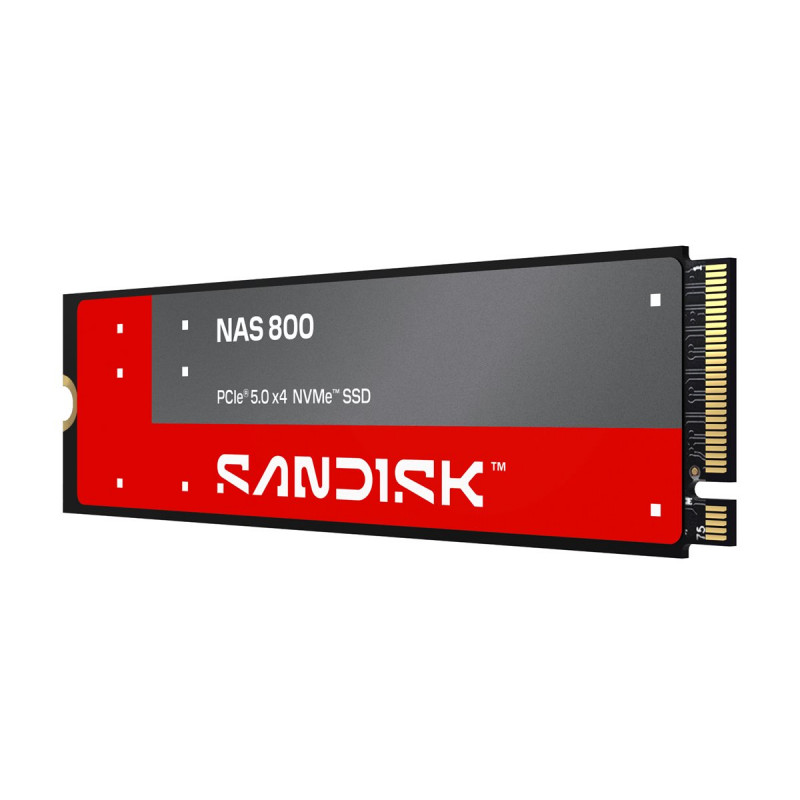 SanDisk NAS 800 960 GB M.2 2280 NVMe Gen 5 interne SSD (SDSNP2960GAN-000E0)
