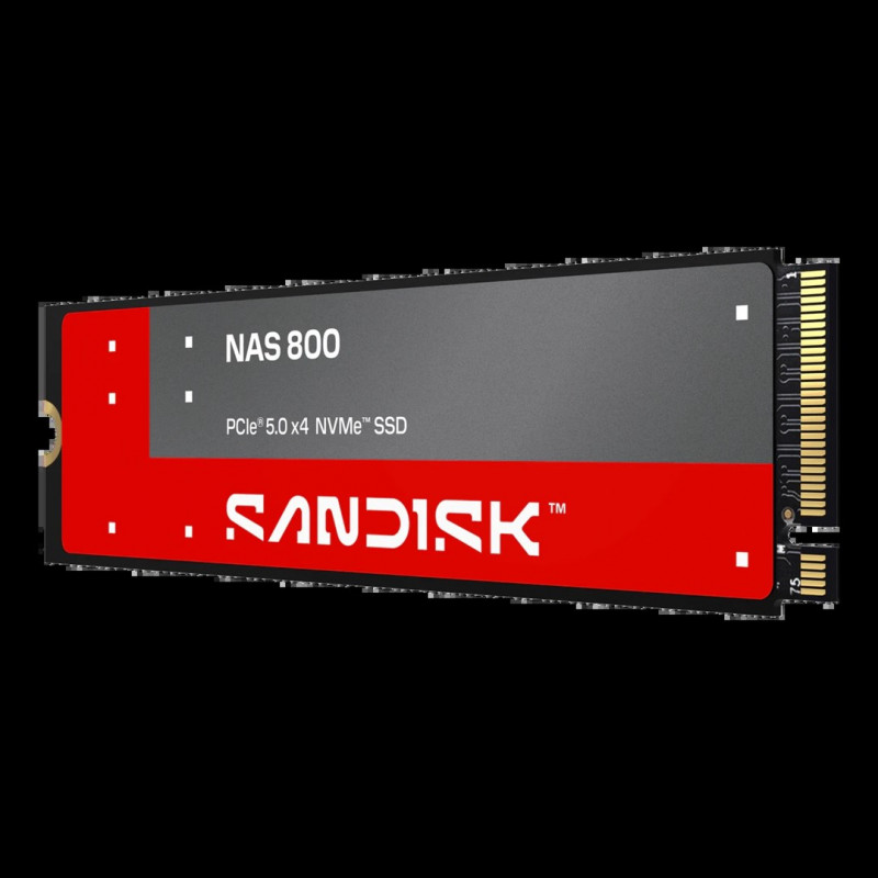 SanDisk NAS 800 960 GB M.2 2280 NVMe Gen 5 interne SSD (SDSNP2960GAN-000E0)