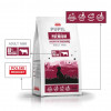 PUPIL Premium Mini Rich in Beef Trockenfutter für Hunde, 10 kg