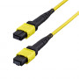 StarTech.com OS2MTP24BOFNP5M MTP/MPO-24 Singlemode-LWL-Patchkabel (5 m), APC