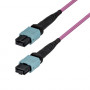 StarTech.com OM4MTP12BOFNP5M MTP/MPO-12 Multimode-LWL-Patchkabel (5 m)