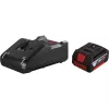Bosch 1600A03CH1 Starter-Kit, 2x GBA 18V 5.0 Ah Akkus, GAL 12V/18 Ladegerät