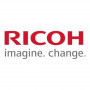 Ricoh D0BN2243 Developer Gelb