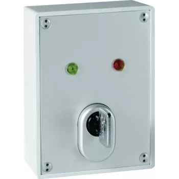 ABUS SE1010 Schlüsselschalter - 24V DC, 2 Wechsler, IP54, silbergrau