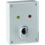 ABUS SE1010 Schlüsselschalter - 24V DC, 2 Wechsler, IP54, silbergrau