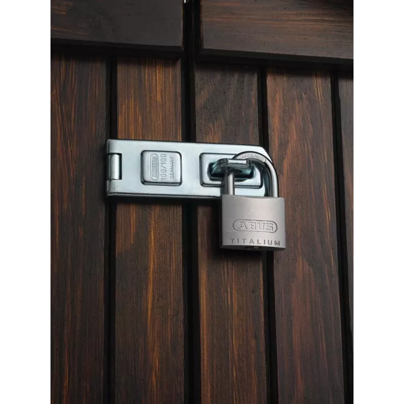 ABUS Titalium 64TI/30 Vorhängeschloss mit Schlüssel