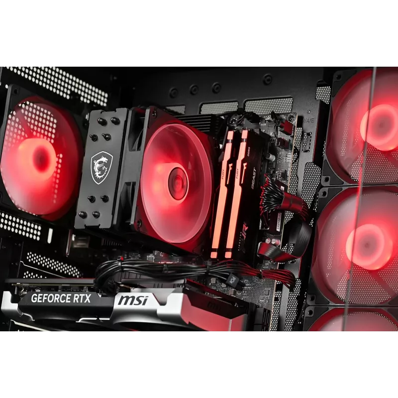 Actina Desktop-PC AMD Ryzen 5 5600 16GB DDR4 500GB SSD NVIDIA GeForce RTX 5060 Windows 11 Home Midi Tower Schwarz