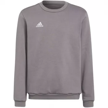 adidas Entrada 22 Sweat Top Grau Jugend 128cm