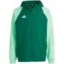 adidas Tiro 23 Competition All Weather Herrenjacke Grün IC4570