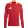 adidas Tiro 24 Competition Herren-Sweatshirt Rot-Orange IP1875