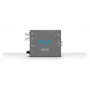 AJA HA5-12G HDMI-zu-12G-SDI-Mini-Konverter