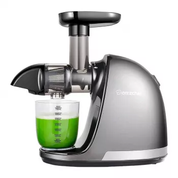 AMZCHEF 1501-GA Slow Juicer (Grau)