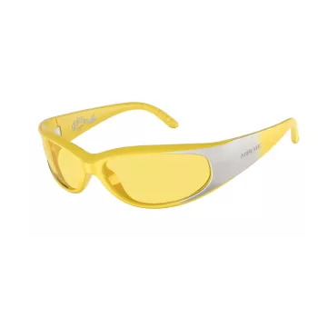 ARNETTE Unisex Sonnenbrille AN4302-281685 Matt Schwarz Gestell Dunkelgraue Gläser 62/16/125 mm