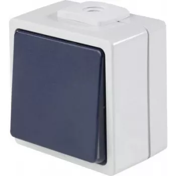 AS SCHWABE 62452 Aufputz-Drucktaster, IP54, Grau, 250V/10A, 1NO