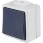AS SCHWABE 62452 Aufputz-Drucktaster, IP54, Grau, 250V/10A, 1NO