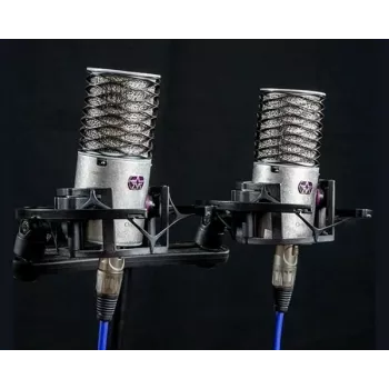 Aston Microphones Origin Stereo Pair Kondensator