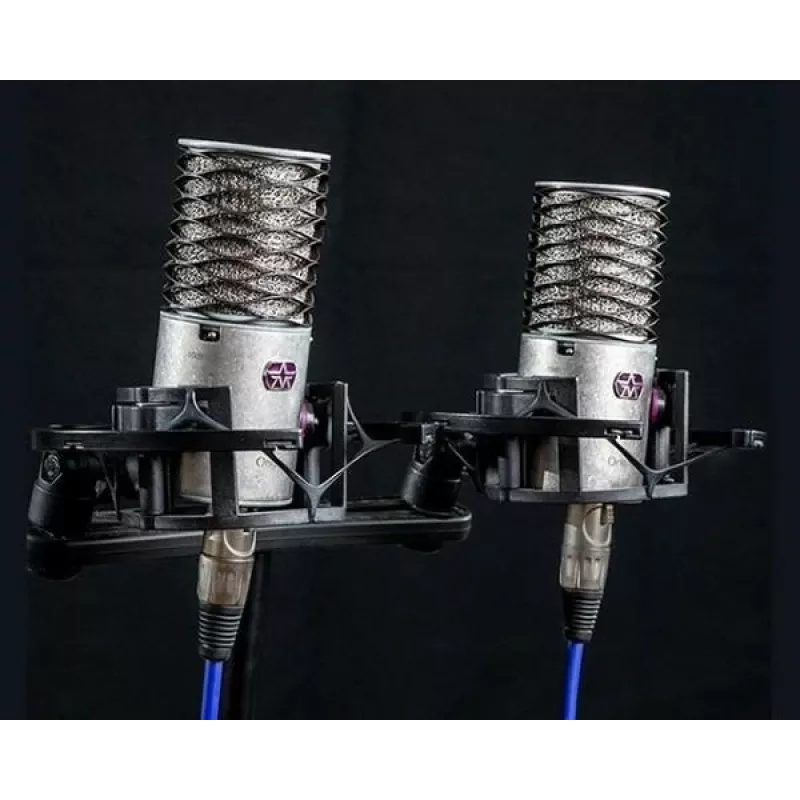 Aston Microphones Origin Stereo Pair Kondensator