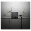 ASUS Zenbook S14 OLED UX5406AA-SU235W - 14 Zoll 2.8K OLED 120Hz, Intel Core Ultra 9 386H, 32GB RAM, 1TB SSD, Windows 11