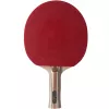 ATEMI 3000 Pro Concave Tischtennisschläger - ITTF-zugelassenes Offensivholz mit APS-Technologie