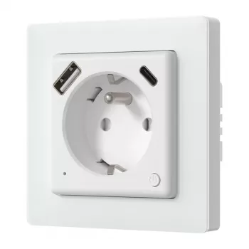 AVATTO WOT20-FR Smart Outlet