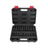 AWTOOLS AW38695BL 95-teiliger Chrom-Vanadium-Steckschlüsselsatz mit 1/4 Zoll, 3/8 Zoll, 1/2 Zoll Ratsche, Steckschlüsseln, Bits, Schraubenschlüsseln und Kunststoffkoffer