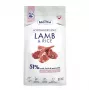 BALTICA NUTRACEUTIC Hypoallergenes Lamm & Reis Trockenfutter für Hunde extra kleiner & kleiner Rassen, 3 kg