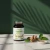 BIOWEN Ashwagandha – Nahrungsergänzungsmittel für Menschen – 120 Kapseln