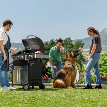Black+Decker BXOG12950E Gasgrill, 3 Brenner