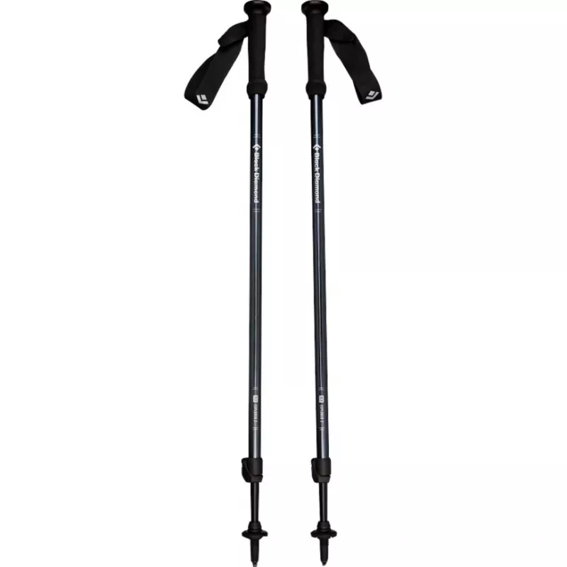 Black Diamond Explorer 2 Trekkingstöcke - Ink Blue