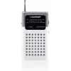 Blaupunkt PR4WH tragbares AM/FM-Radio Grau