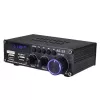 Blitzwolf AS-22 Audioverstärker, 45 W, Bluetooth 5.0, USB + Fernbedienung (Schwarz)