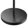 BLITZWOLF Doppelstehleuchte mit Fernbedienung BlitzWill BWL-FL-0001, 36W (Schwarz)