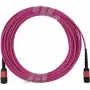 BlueOptics Infortrend 9370FC40GCAB1-0030 MPO-MPO Multi-mode OM4 Patchkabel 2 Meter