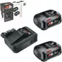 Bosch 18V Starter Set 2 x 2,5 Ah Akkus + AL 18V-44 Ladegerät (1600A031T5)