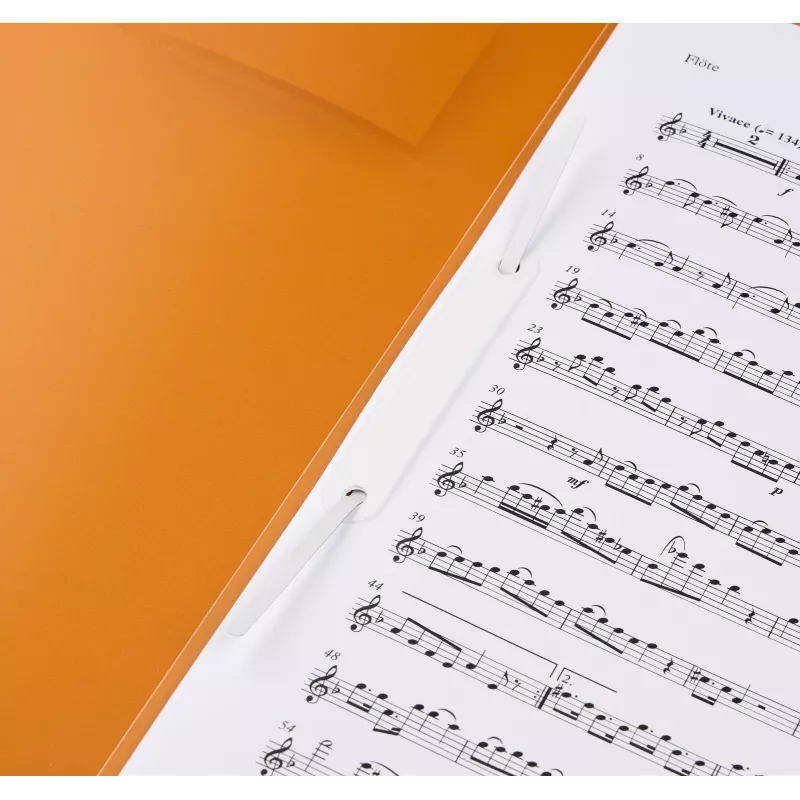 BRUNNEN FACT! Report File Translucent Green DIN A4 Polypropylene 150 Sheets