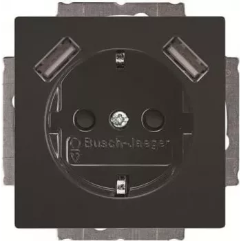 BUSCH-JAEGER BJ 20 EUCB2USB-81 SCHUKO Steckdose mit 2 USB-Anschlüssen, Alpinweiß 2CKA002011A6267