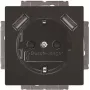BUSCH-JAEGER BJ 20 EUCB2USB-81 SCHUKO Steckdose mit 2 USB-Anschlüssen, Alpinweiß 2CKA002011A6267