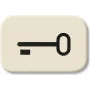 BUSCH-JAEGER Taster Symbol Key Wippe 2520 2525TR Duro 2000 SI 2525TR (1433-0-0440)