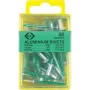 C.K Tools T3819A 508 Blindnieten 4,8 x 19 mm Aluminium/Stahl Domkopf (50 Stk.)