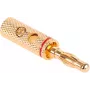 CABLETECH Vergoldeter Bananenstecker Lautsprecherstecker mit Schraubklemme - 4mm