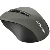 CANYON MW-1 Kabellose Optische Maus - 2,4 GHz, 1600 DPI, Grau