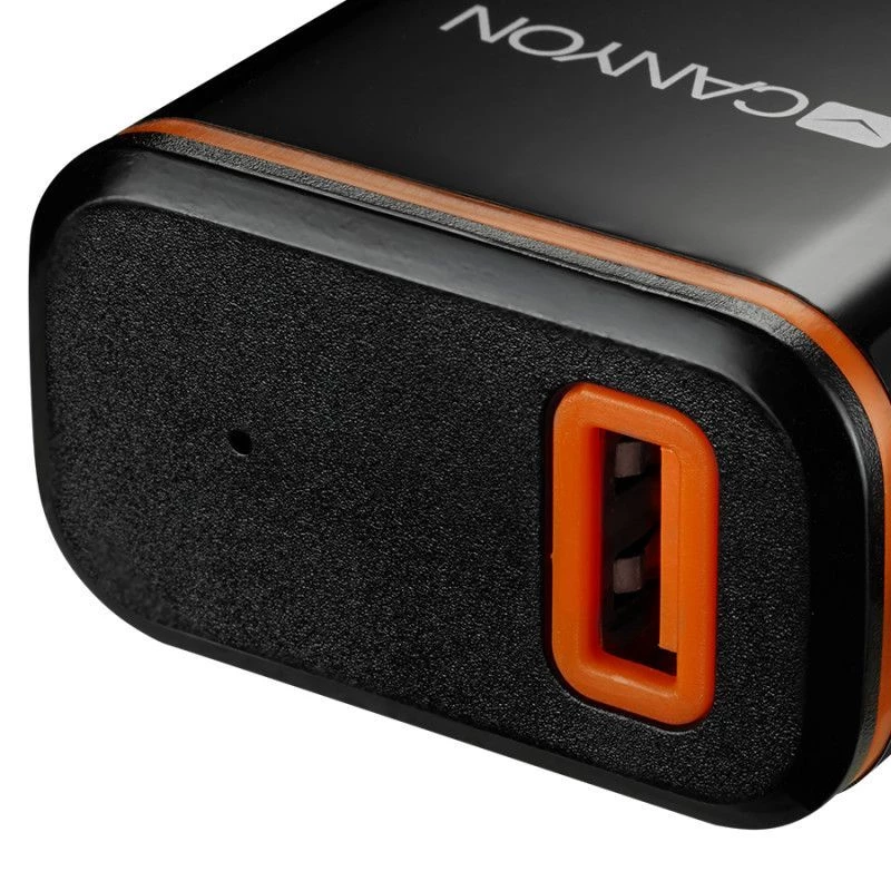 Canyon Wandladegerät mit USB Type-C Kabel, 2.1A, Schwarz