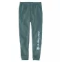 Carhartt Herren Graphic Jogger Sweatpants - Loose Fit, mittelschwere Baumwollmischung, elastischer Bund, dreifach vernäht