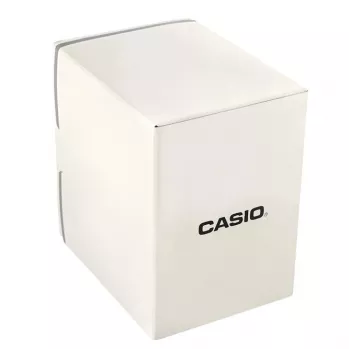 CASIO AEQ-120W-7AVDF Herrenuhr