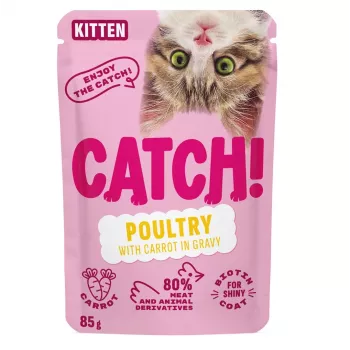 CATCH Kitten Poultry and Carrot in Gravy - Nassfutter für Katzen - 85g