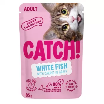 CATCH Weißfisch und Karotte in Soße Nassfutter für Katzen, 85 g Beutel